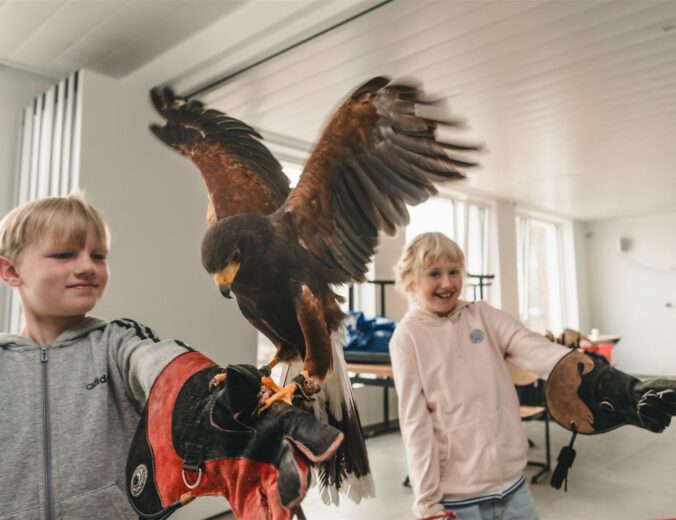 Heyo vakantiekampen Dierenmanieren