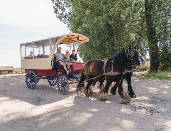 Heyo vakantiekampen Huifkar paard 2