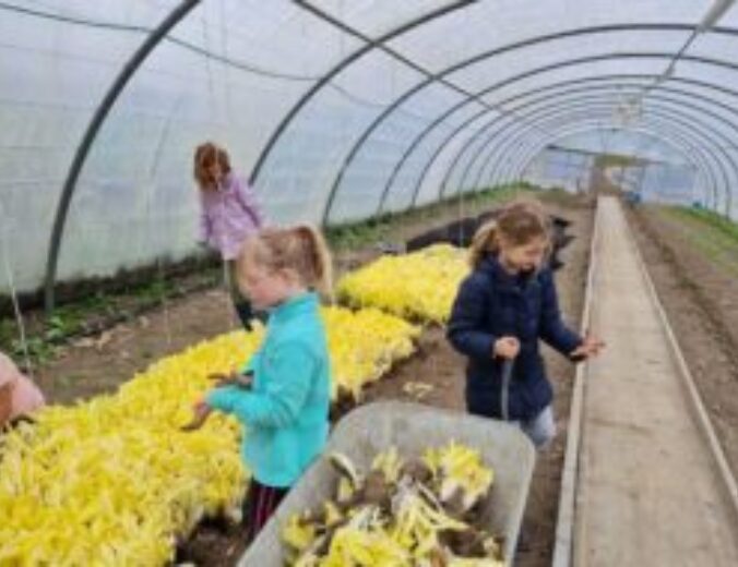 Heyo vakantiekampen Plezier in de moestuin 3